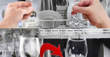 428652900 122123042306192707 7154643942346454503 n