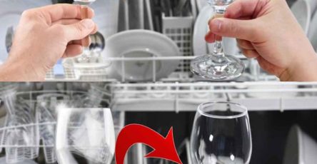 428652900 122123042306192707 7154643942346454503 n