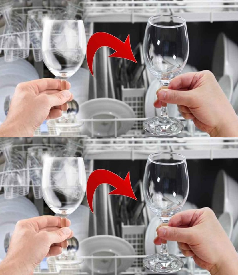 428652900 122123042306192707 7154643942346454503 n