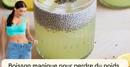 42fd6dc0 e075 4cc4 9495 45bf196f9206