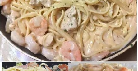 433622797 122133428270161074 2272146104192947725 n