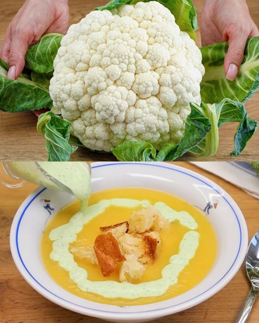 441963585 412368268427579 8691487364170652553 n