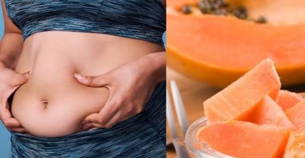 450429536 122169695612166044 8721103633651324242 n