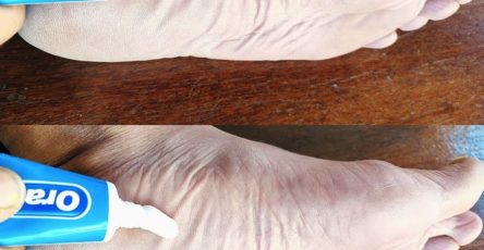 451623012 337139599459003 1947728145488592068 n