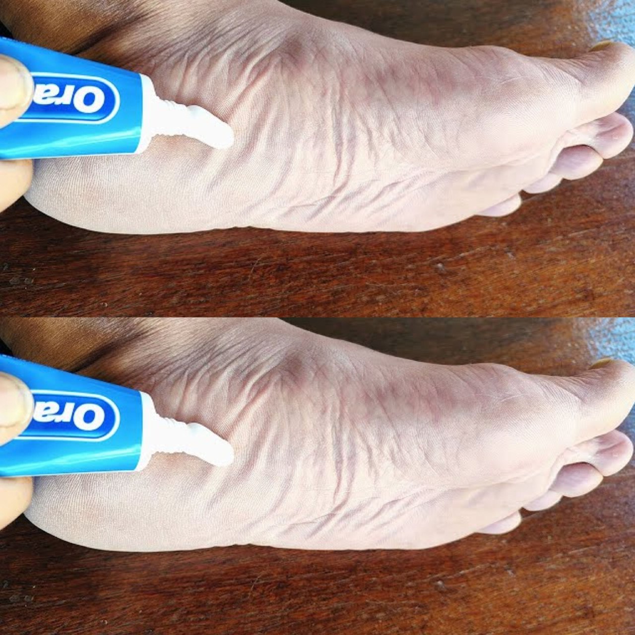 451623012 337139599459003 1947728145488592068 n