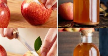 453043013 472194032430420 7616469535608828445 n