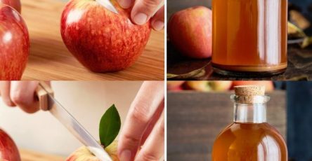 453043013 472194032430420 7616469535608828445 n