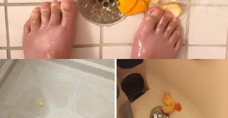 453246348 345750668597896 3883619727454125233 n 2