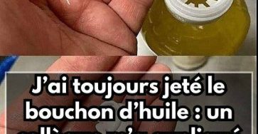 456605968 1192082218794612 8405284585886284875 n