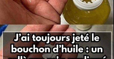 456605968 1192082218794612 8405284585886284875 n