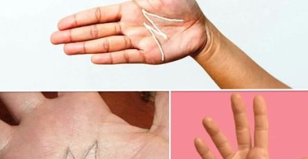 472776744 122159196104297314 2910883860437655404 n