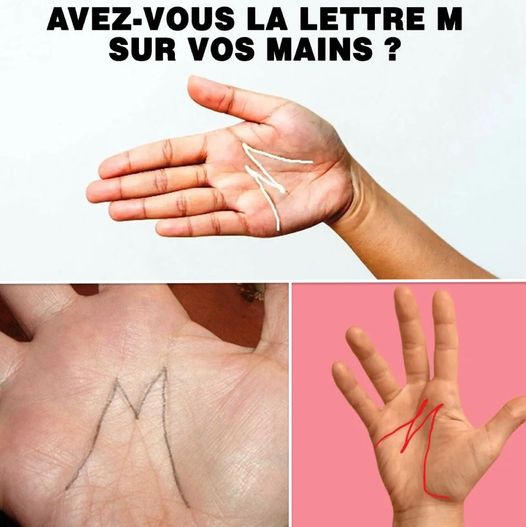 472776744 122159196104297314 2910883860437655404 n