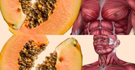 476751465 122193765644148206 764554915757694515 n