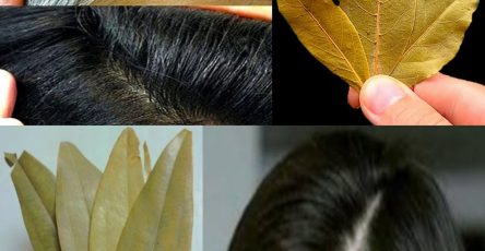 476970547 122193767126148206 2219779558450281700 n