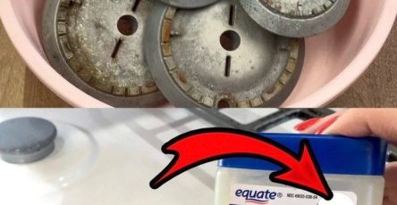 478669558 122155925078364020 7891774500414650537 n