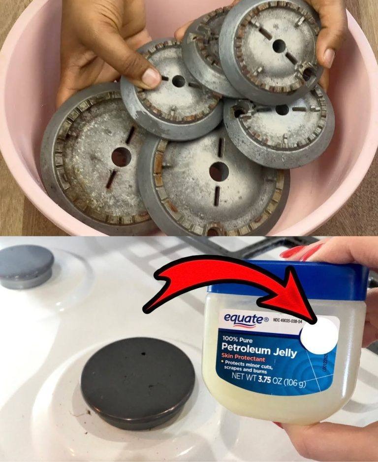 478669558 122155925078364020 7891774500414650537 n