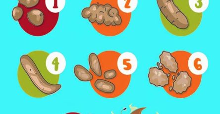 484117667 122152504154480977 3619443786299819700 n