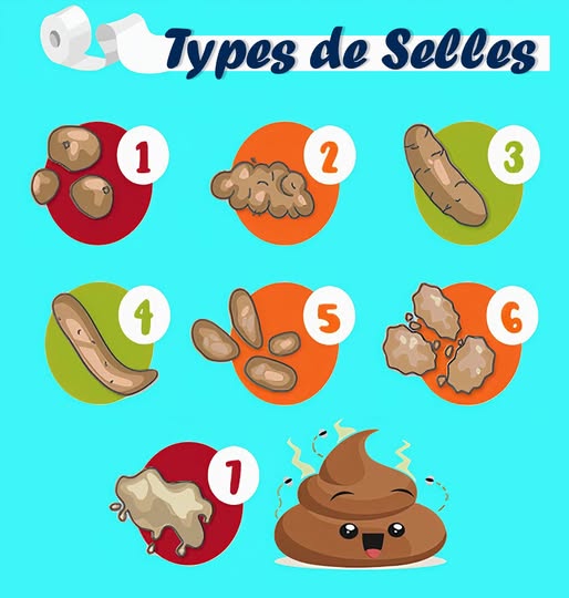 484117667 122152504154480977 3619443786299819700 n