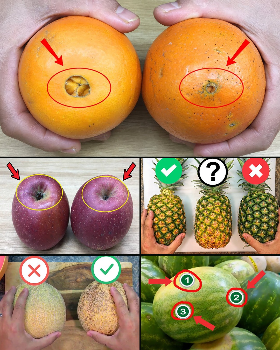 485727047 122268566708006859 4040047884153337031 n