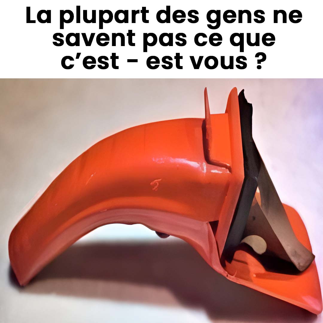 486244895 1063756065788968 3265012875798289236 n