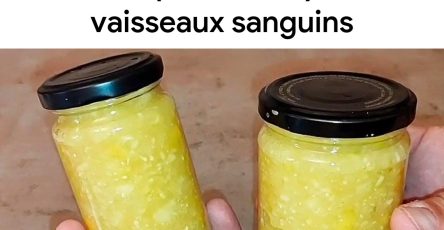 487686007 1062832885877159 2286923408924282035 n