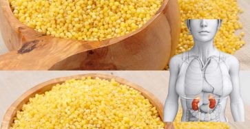 488567152 122185830122093586 8162532376261047570 n