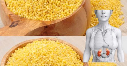 488567152 122185830122093586 8162532376261047570 n