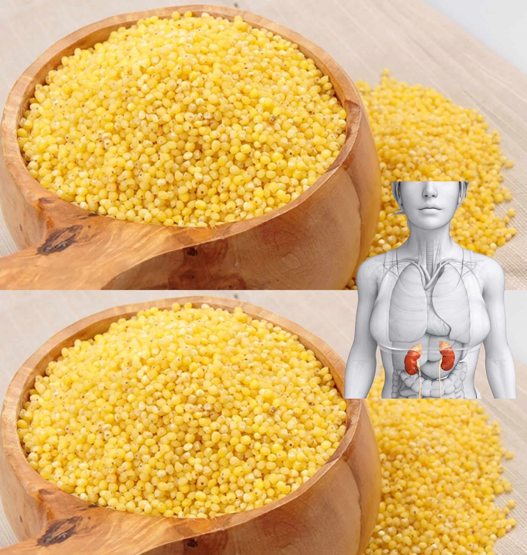 488567152 122185830122093586 8162532376261047570 n