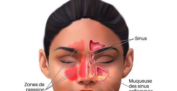 489569688 523600784139700 4649021128528910984 n