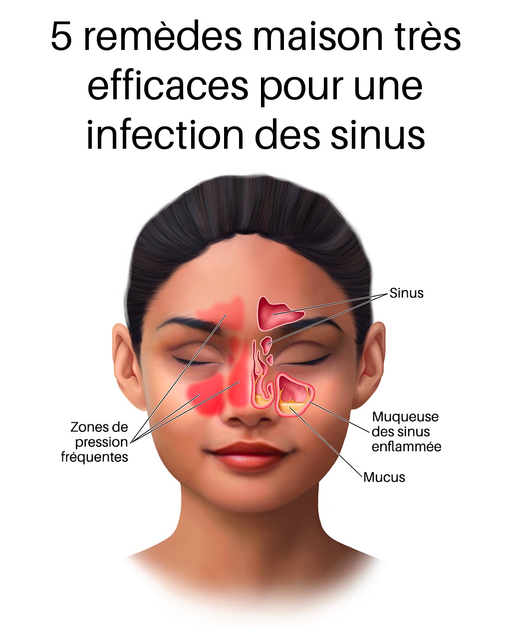 489569688 523600784139700 4649021128528910984 n