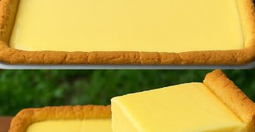 490183381 122124426344662243 3427147519370566815 n