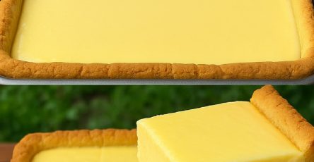 490183381 122124426344662243 3427147519370566815 n