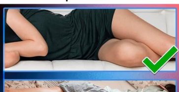 490983034 1078534004307047 4959301987472987182 n