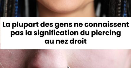 491271936 2580702385640617 58409681496361333 n