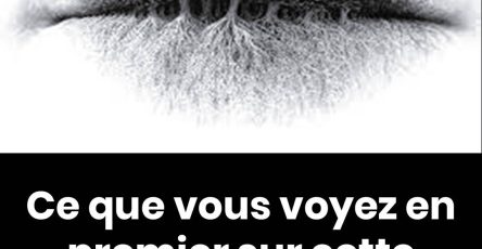 492532948 718308287451771 211660026359153731 n