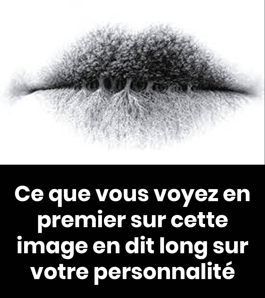 492532948 718308287451771 211660026359153731 n