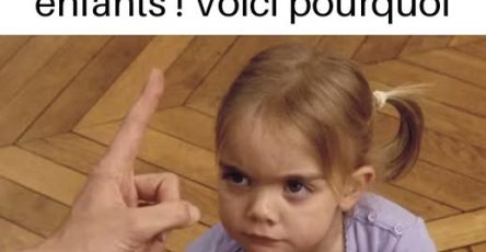 492560102 1079461474214300 2762807097636364128 n