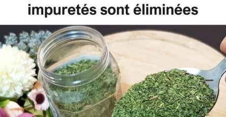 492769561 1078797630947351 7012102863193387771 n