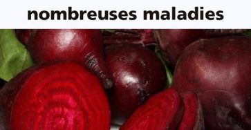 492776513 1079446940882420 5919780809192488229 n