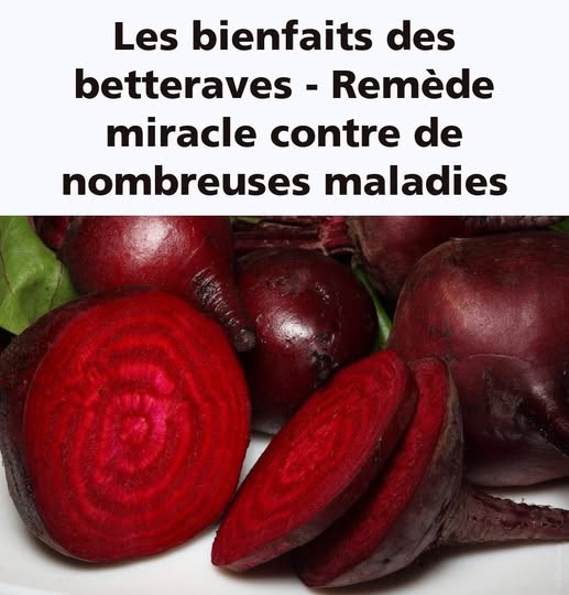 492776513 1079446940882420 5919780809192488229 n