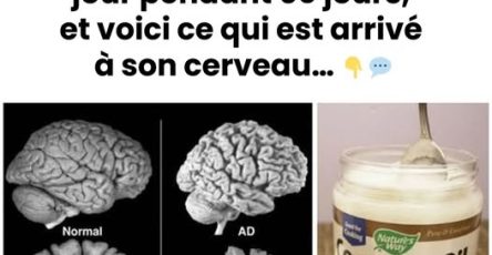 494410442 122167041344480977 1677952599870254782 n