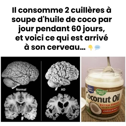 494410442 122167041344480977 1677952599870254782 n