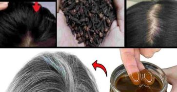 495098234 674101865608411 6366871989697066239 n