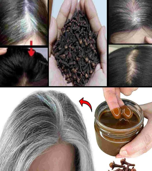 495098234 674101865608411 6366871989697066239 n