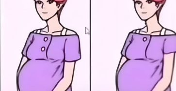 495156158 674117962273468 1214126223460720758 n