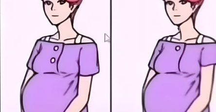 495156158 674117962273468 1214126223460720758 n