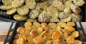 495199314 636124049409341 5424665951209442261 n