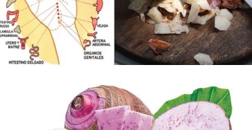 495202130 122178674834321243 1520548643316359791 n