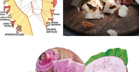 495202130 122178674834321243 1520548643316359791 n