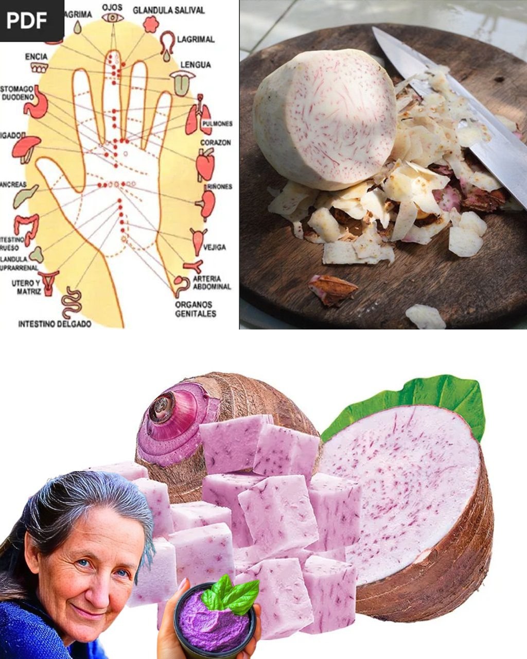 495202130 122178674834321243 1520548643316359791 n